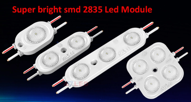 Hot Sale High Power UL IP67 Waterproof DC 12V 2W 2PCS 6500K White Injection 2835 SMD LED Module