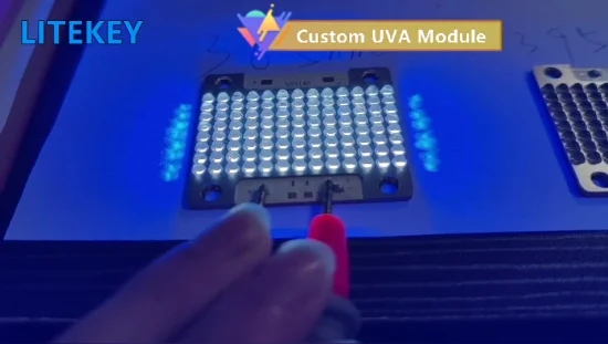 Modulo LED UV COB ad alta potenza da 150 W 300 W del produttore esperto 365/380/395/405 nm C3236